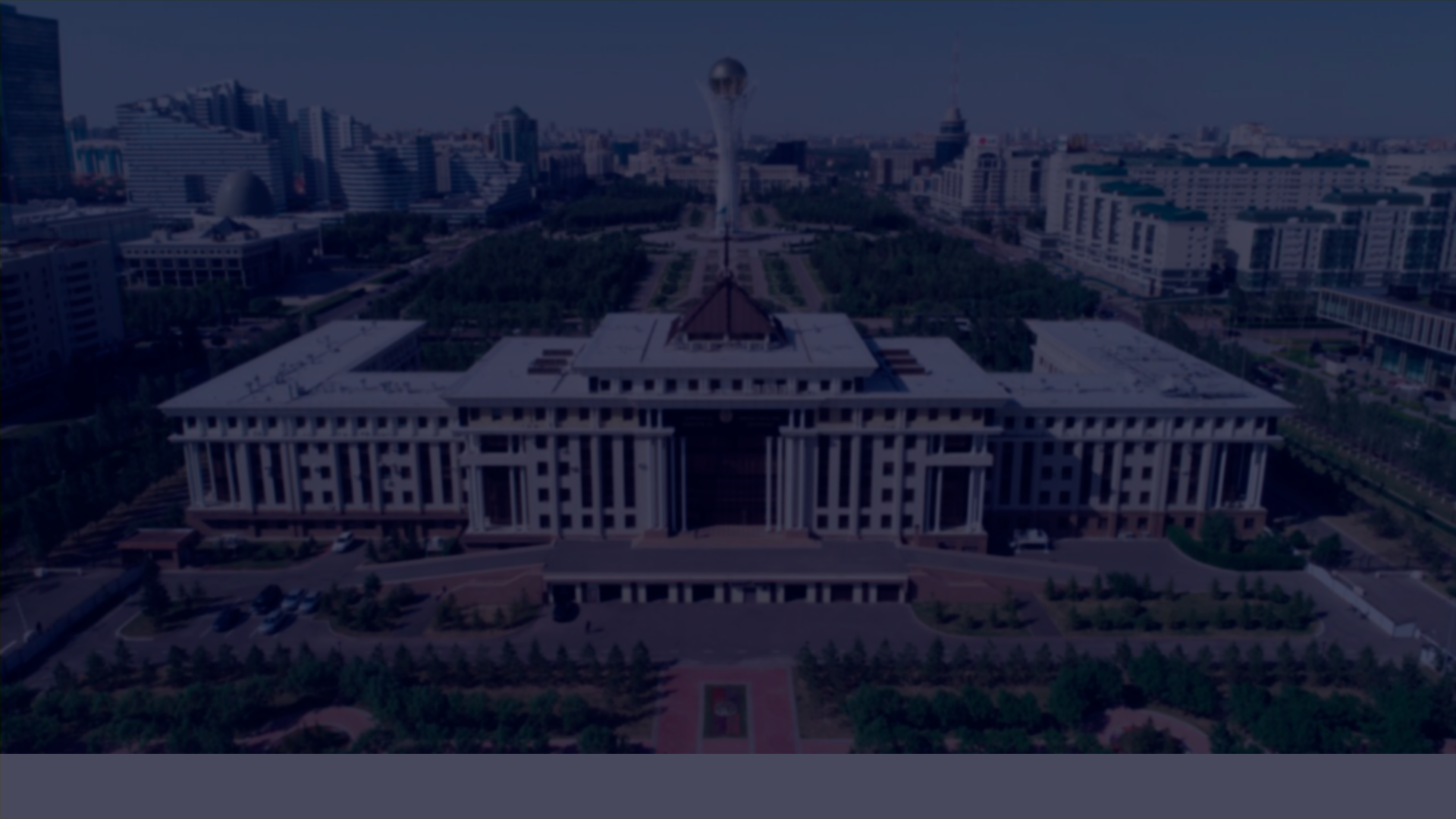 Единственный акционер